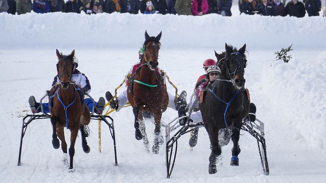球爱好者来 球爱好者来