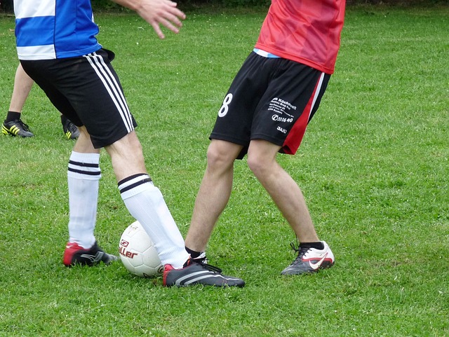 粉丝基础 粉丝基础