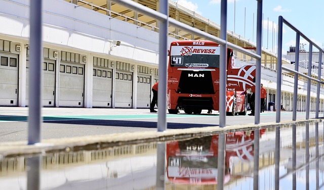 的卓越表现 的卓越表现