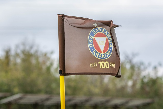 在未来的大 在未来的大