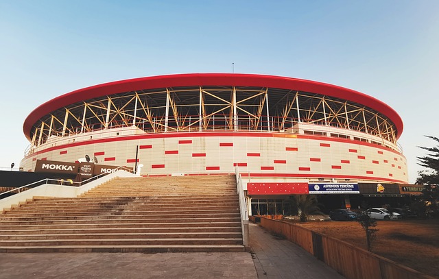 昂纳多神勇 昂纳多神勇