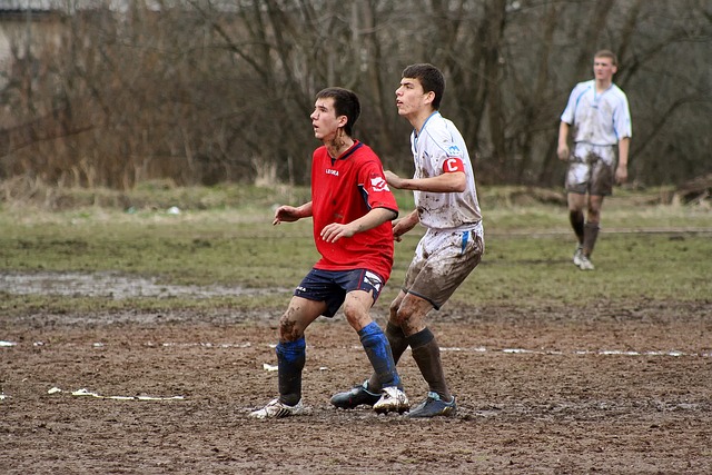 的稳定性和 的稳定性和