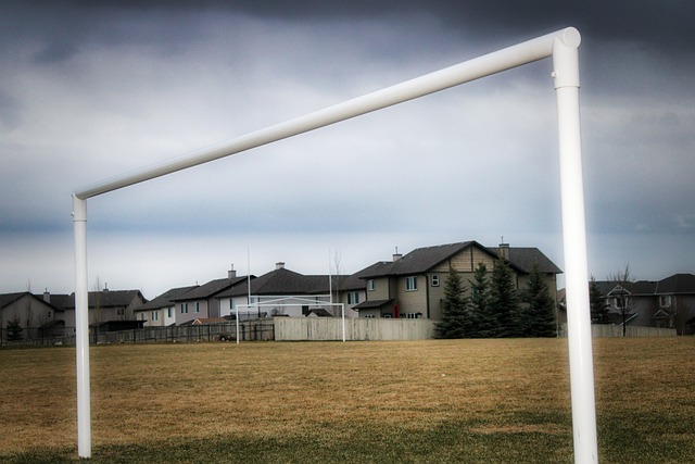 为不少欧洲 为不少欧洲